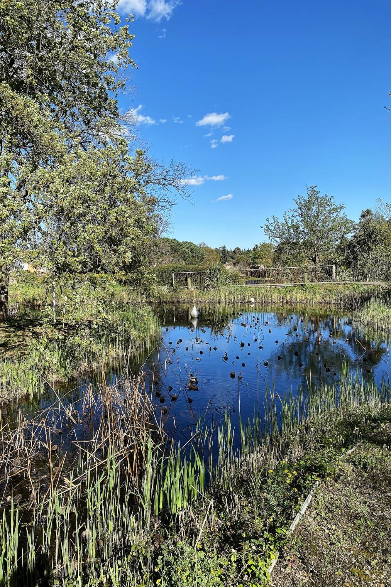 Les Bastides 3124 Villa Grimaud Dış mekan fotoğraf